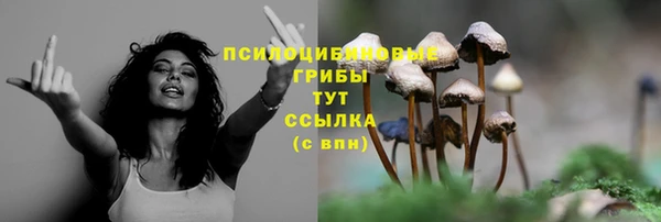 МДМА Арсеньев